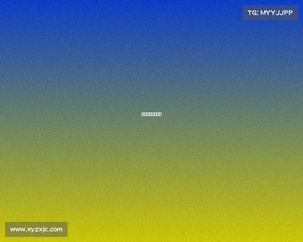 赛事举办阶段任务